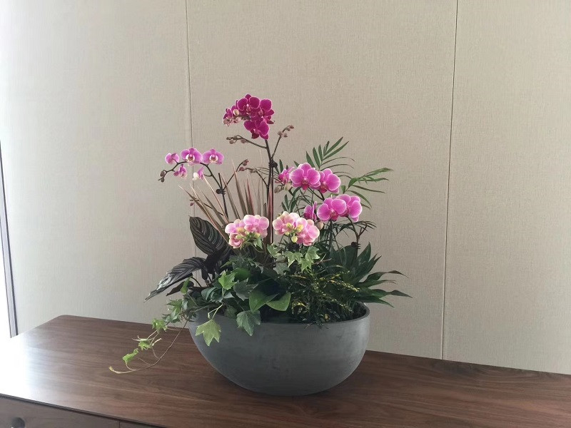 案例展现