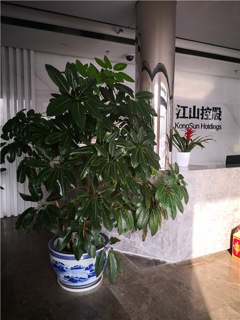 山河控股无限公司