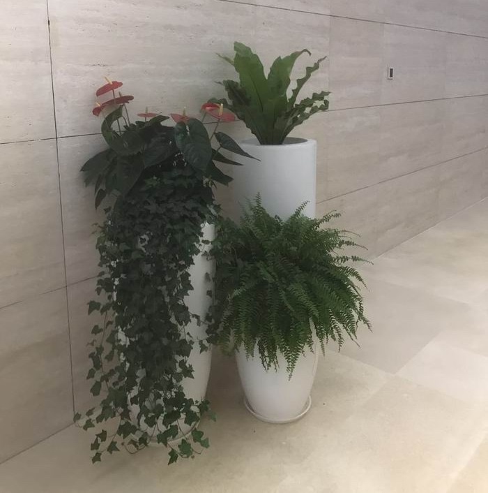 盆栽组合