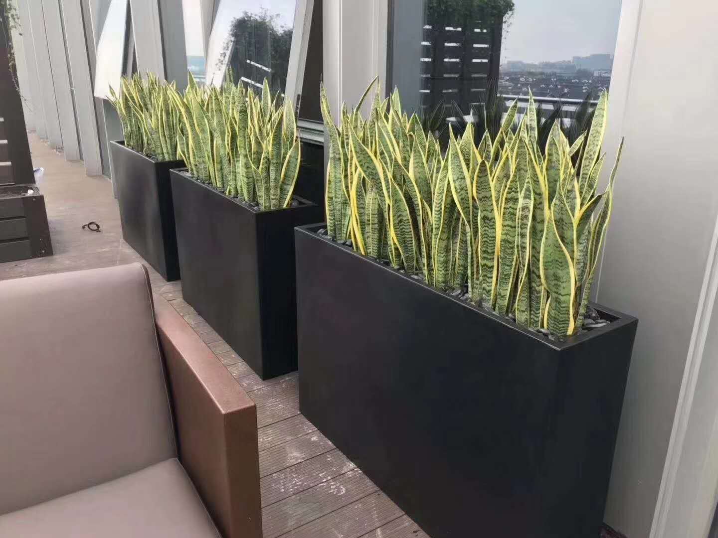 绿植租摆