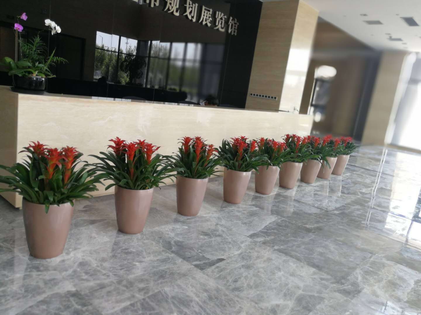 案例展现