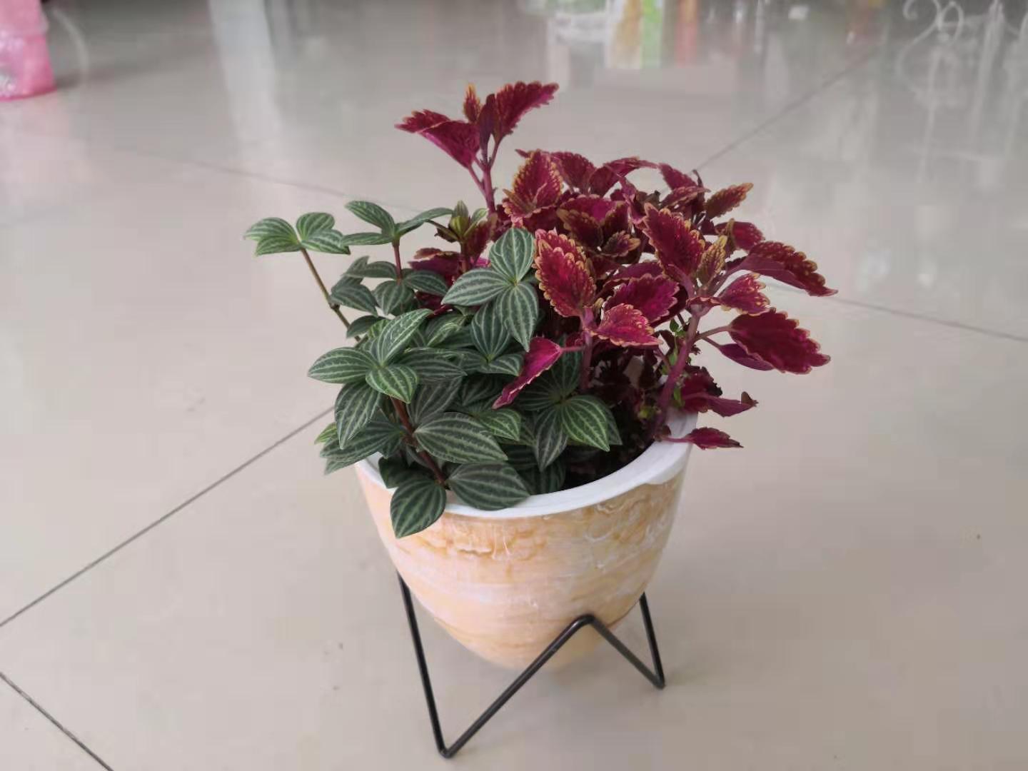 组盆桌摆