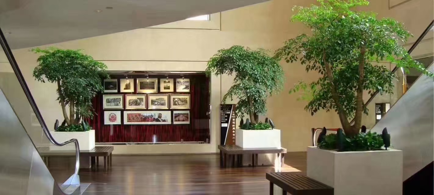 幸运树