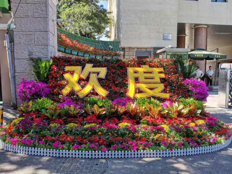 节日花坛