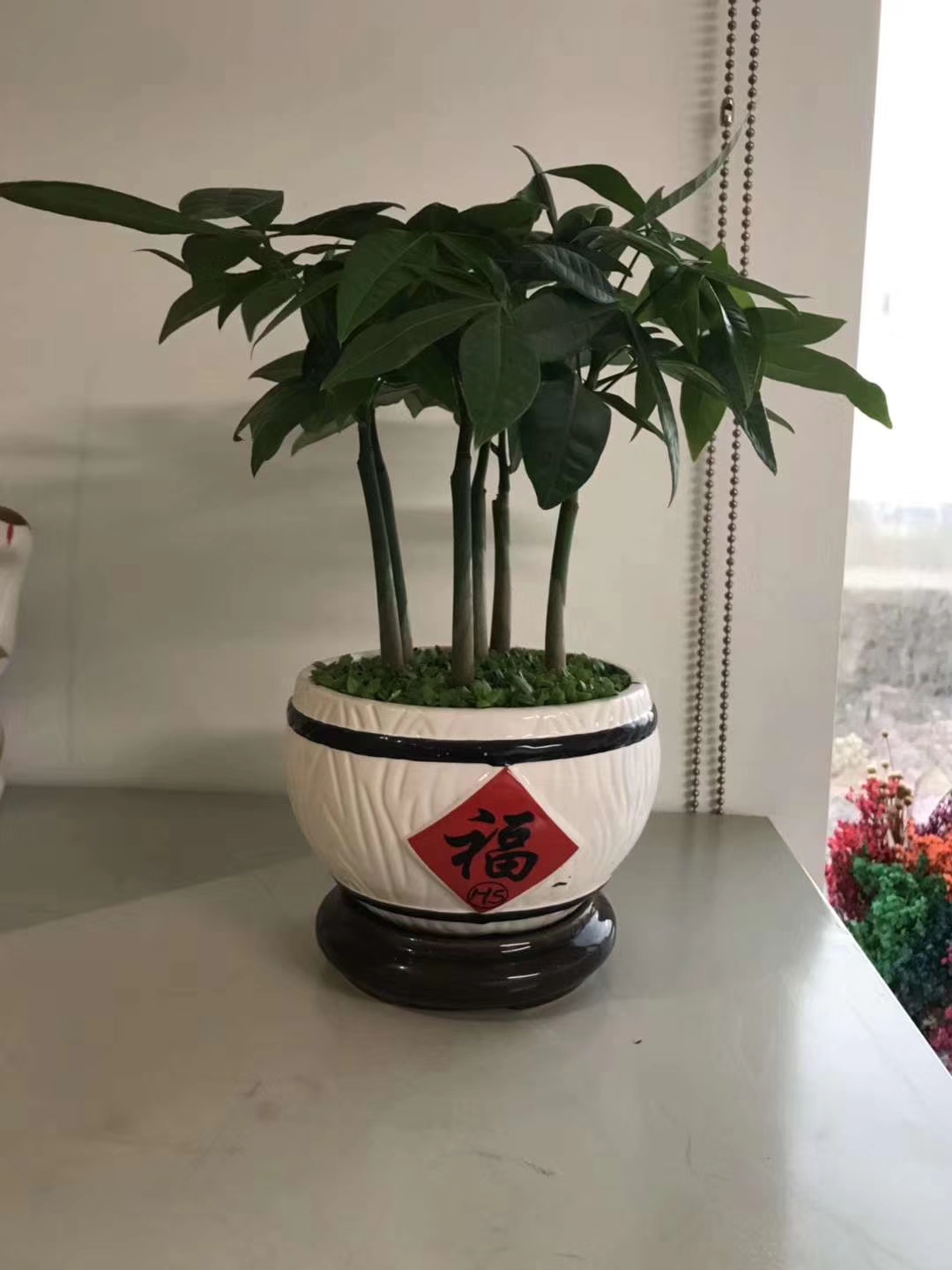 电脑宝贝儿